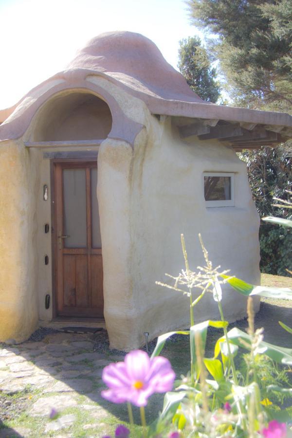 Villa Solscape Raglan Exterior foto