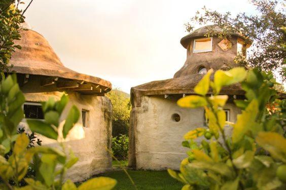 Villa Solscape Raglan Exterior foto